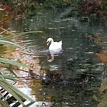 Bed & Breakfast Avlon House Carlow