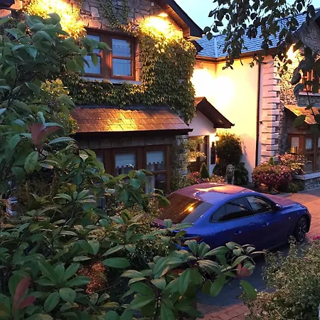 Bed & Breakfast Avlon House Bed And Breakfast Carlow