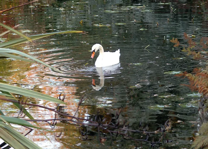 Bed & Breakfast Avlon House Carlow