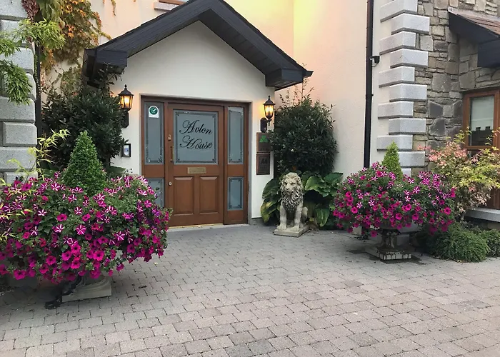 Bed & Breakfast Avlon House Carlow